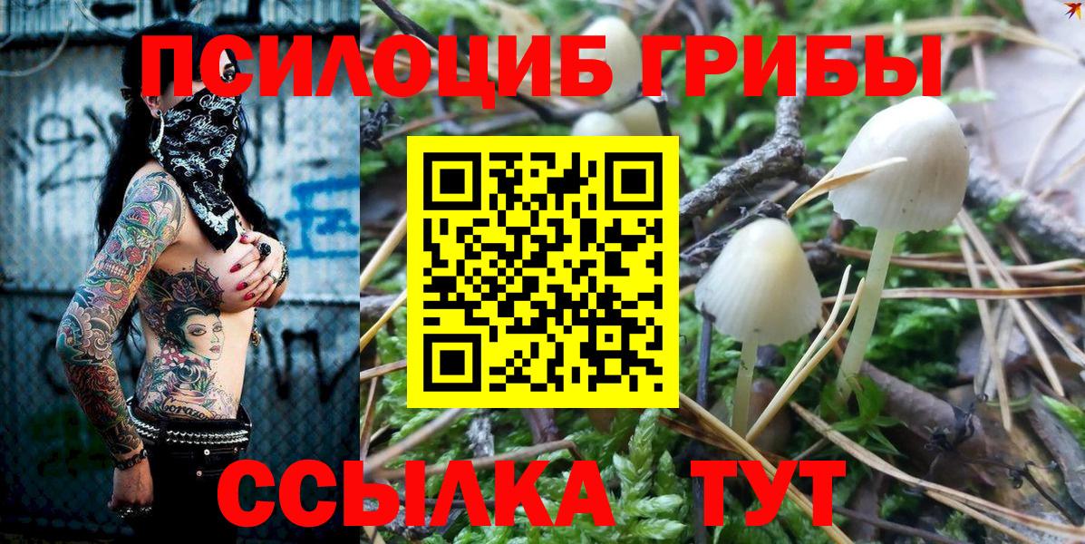 Псилоцибиновые грибы мухоморы Владивосток